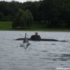 Koeln2014_1 (59)